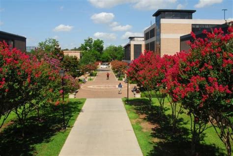 St thomas university houston tx - Division of Natural Sciences. Chemistry & Biochemistry. Apply. Tell Me More! 713-525-3500. admissions@stthom.edu. SECTION MENU. Everybody’s looking for great chemistry, that mysterious spark that makes everything work. 